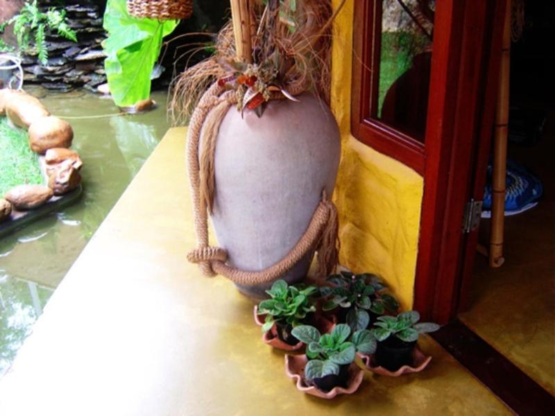Pousada Bambu Brasil São Jorge Zewnętrze zdjęcie
